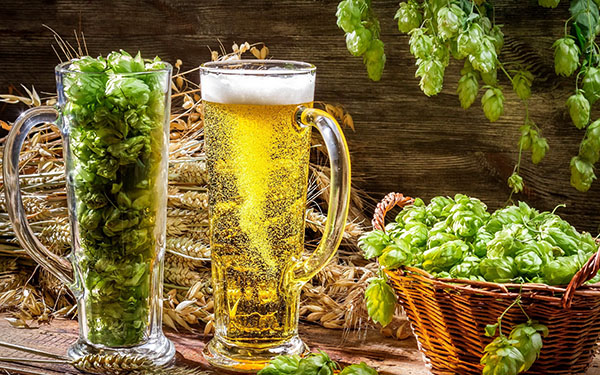 Ново научно изследване за биологично-активните съставки на пивото